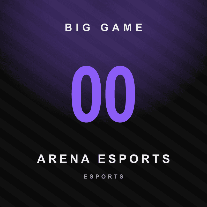 Arena Esports — Big Game Sports Apparel